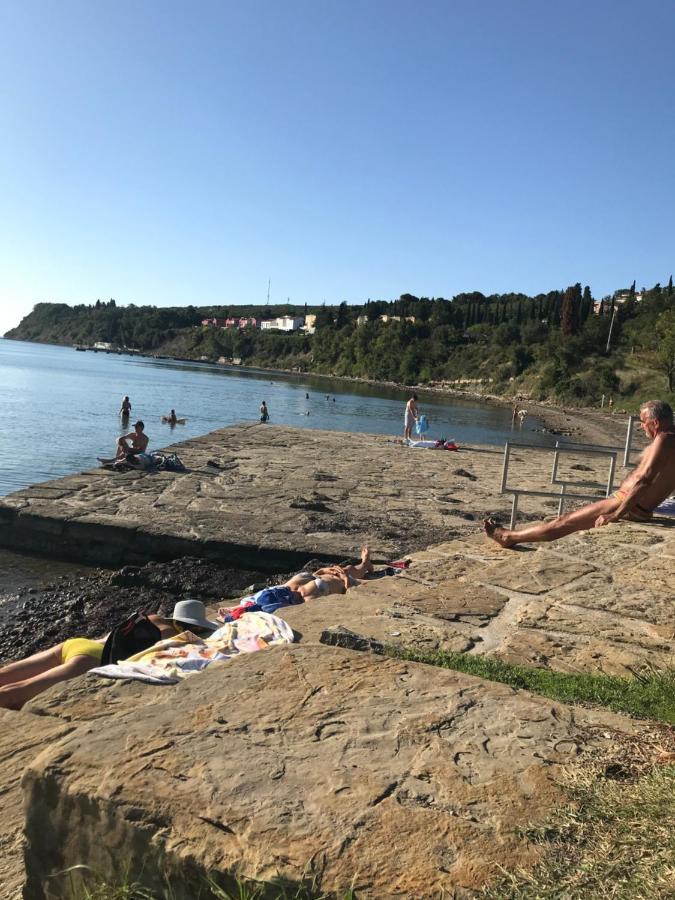 Istrska Hisa Centurium Villa Марезиге Екстериор снимка