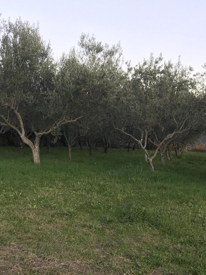 Istrska Hisa Centurium Villa Марезиге Екстериор снимка